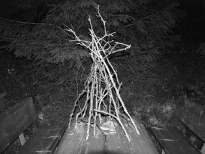Tangled Roots, the origins of black metal