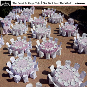 sensible gray cells lp get back into the world