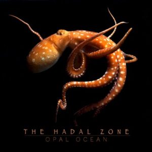 opal ocean new lp