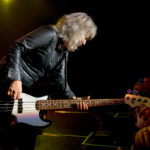 suzi quatro
