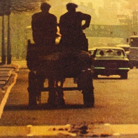ronnie lane reissue lp