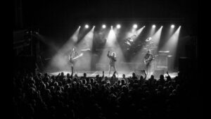 magnum live pic