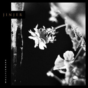 jinjer new lp