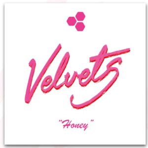 velvets new single