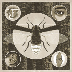 jerry cantrell new album