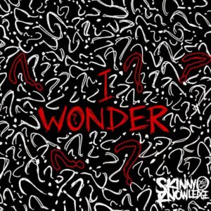 skinny knowledge new single