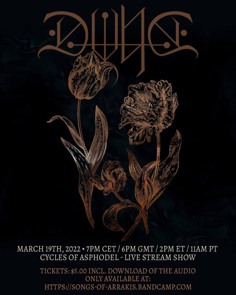 DVNE livestream performance poster