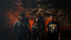 dvl band pic