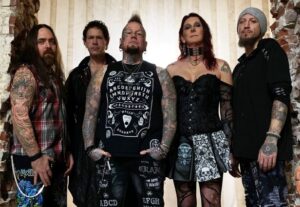 sygnal to noise band pic