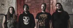harvested band pic