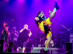 Tenacious D