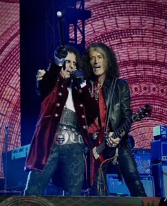 Hollywood Vampires