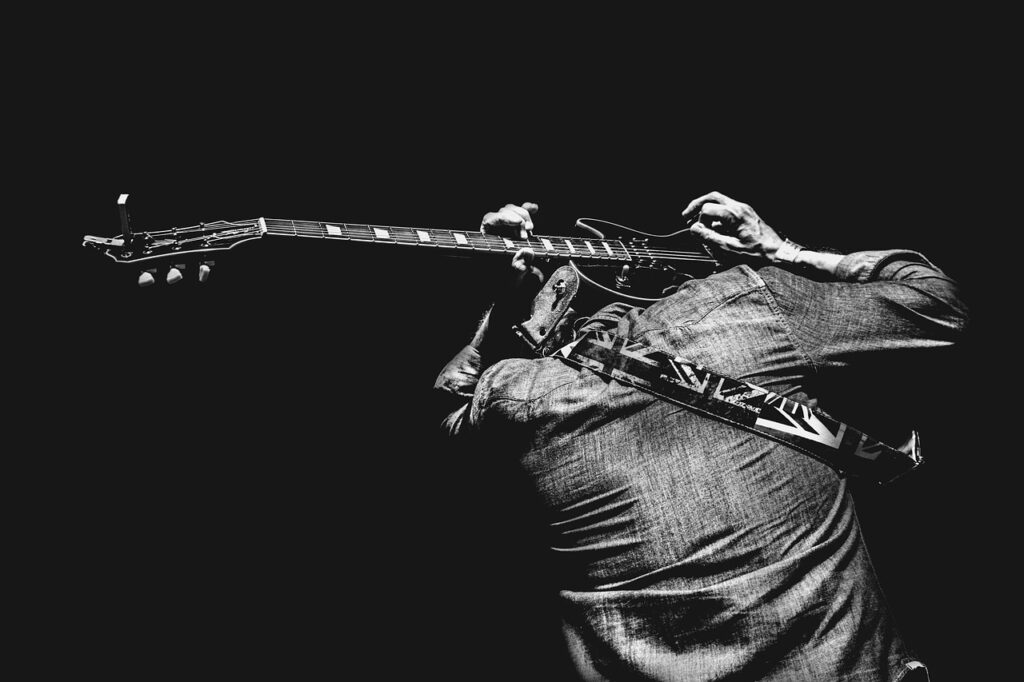 Guitarist