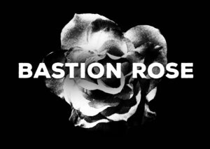 Bastion Rose b/w